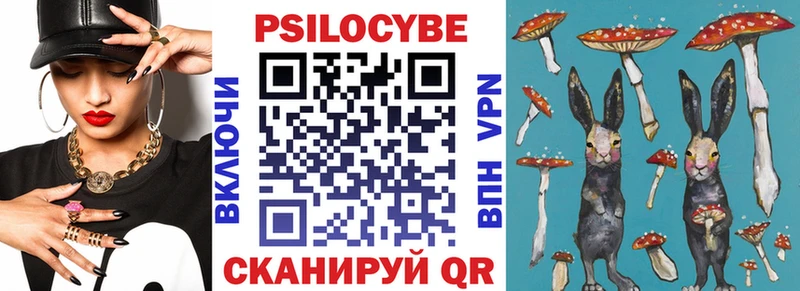 Псилоцибиновые грибы Psilocybine cubensis Переславль-Залесский